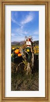 Framed Scarecrow in Pumpkin Patch, Half Moon Bay, California (vertical)