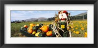 Framed Scarecrow in Pumpkin Patch, Half Moon Bay, California (horizontal)