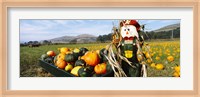 Framed Scarecrow in Pumpkin Patch, Half Moon Bay, California (horizontal)