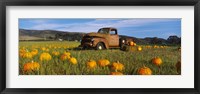 Framed Old Rusty Truck in Pumpkin Patch, Half Moon Bay, California, USA