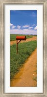 Framed Red mailbox at the roadside, San Rafael Valley, Arizona, USA