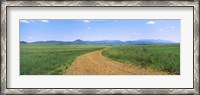 Framed Dirt road passing through a landscape, San Rafael Valley, Arizona