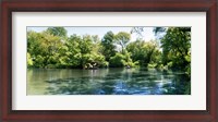 Framed Pond in the Central Park, Manhattan, New York City, New York State, USA