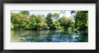 Framed Pond in the Central Park, Manhattan, New York City, New York State, USA