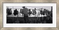 Framed Cowboy with tacks at rodeo, Pecos, Texas