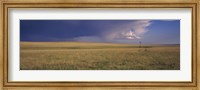 Framed Lone windmill in a field, New Mexico, USA