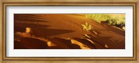 Framed Sand dunes in a desert, Jordan (horizontal)