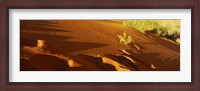Framed Sand dunes in a desert, Jordan (horizontal)