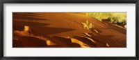 Framed Sand dunes in a desert, Jordan (horizontal)