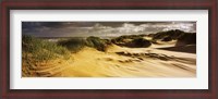 Framed Marram grass on the beach, Sands of Forvie, Newburgh, Aberdeenshire, Scotland