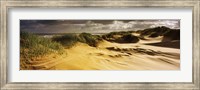 Framed Marram grass on the beach, Sands of Forvie, Newburgh, Aberdeenshire, Scotland