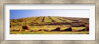 Framed Harvested wheat field, Palouse County, Washington State, USA