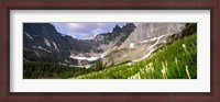 Framed Beargrass with mountains in the background, Montana