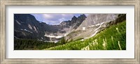 Framed Beargrass with mountains in the background, Montana