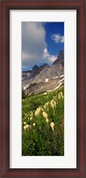 Framed Beargrass with Mountains, Glacier National Park, Montana