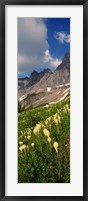 Framed Beargrass with Mountains, Glacier National Park, Montana