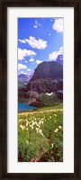 Framed Beargrass with Grinnell Lake in the background, US Glacier National Park, Montana