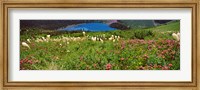 Framed Beargrass with Grinnell Lake in the background, Montana