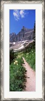 Framed Hiking trail at US Glacier National Park, Montana, USA