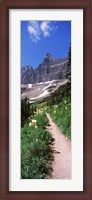 Framed Hiking trail at US Glacier National Park, Montana, USA