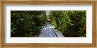 Framed People walking on walkway in an elevated park, High Line, New York City, New York State, USA