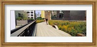 Framed Walkway in a linear park, High Line, New York City, New York State, USA