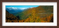Framed Trees with road in autumn at Simplon Pass, Valais Canton, Switzerland