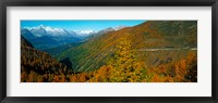 Framed Trees with road in autumn at Simplon Pass, Valais Canton, Switzerland