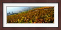 Framed Vineyards and village in autumn, Valais Canton, Switzerland