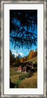 Framed Huts with the Mt Matterhorn in background in autumn morning light, Valais Canton, Switzerland