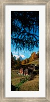 Framed Huts with the Mt Matterhorn in background in autumn morning light, Valais Canton, Switzerland