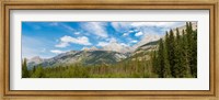 Framed Trees with Canadian Rockies in the background, Smith-Dorrien Spray Lakes Trail, Kananaskis Country, Alberta, Canada
