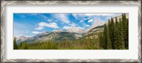 Framed Trees with Canadian Rockies in the background, Smith-Dorrien Spray Lakes Trail, Kananaskis Country, Alberta, Canada