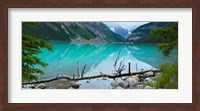 Framed Reflections in Lake Louise, Banff National Park, Alberta, Canada