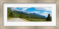 Framed Road passing through a forest, Bow Valley Parkway, Banff National Park, Alberta, Canada