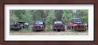 Framed Old rusty cars and trucks on Route 319, Crawfordville, Wakulla County, Florida, USA