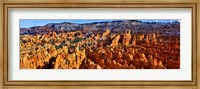 Framed Hoodoo rock formations in Bryce Canyon National Park, Utah, USA