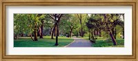 Framed Trees in a public park, Central Park, Manhattan, New York City, New York State, USA