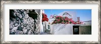 Framed Flowers on rooftop of a house, Santorini, Greece