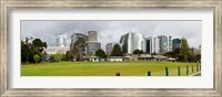 Framed Apartment buildings along Queens Road at edge of Albert Park Lake, Melbourne, Victoria, Australia