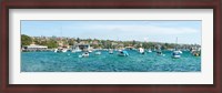 Framed Boats docked at Watsons Bay, Sydney, New South Wales, Australia