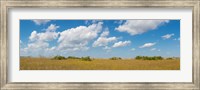 Framed Clouds over Everglades National Park, Florida, USA