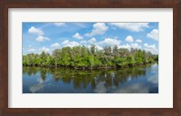 Framed Reflection of trees in the river, Hillsborough River, Lettuce Lake Park, Hillsborough County, Florida, USA
