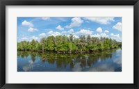 Framed Reflection of trees in the river, Hillsborough River, Lettuce Lake Park, Hillsborough County, Florida, USA