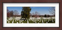 Framed Headstones in a cemetery, Arlington National Cemetery, Arlington, Virginia, USA