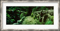 Framed Wooden bridge in the subtropical forest, Parque Lage, Jardim Botanico, Corcovado, Rio de Janeiro, Brazil