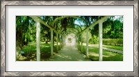 Framed Pathway in a botanical garden, Jardim Botanico, Zona Sul, Rio de Janeiro, Brazil