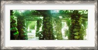 Framed Stone canopy in the botanical garden, Jardim Botanico, Zona Sul, Rio de Janeiro, Brazil