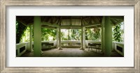 Framed Canopy in the botanical garden, Jardim Botanico, Zona Sul, Rio de Janeiro, Brazil