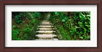 Framed Steps leading to a lighthouse, Morro De Sao Paulo, Tinhare, Cairu, Bahia, Brazil